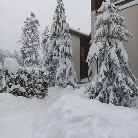 Forest View Appartement